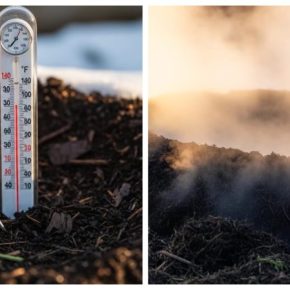 Садовник раскрыл секрет мощного запуска замороженного компоста