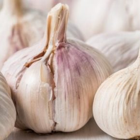 Секрет долголетия на кухне: ученые назвали продукт, замедляющий старение