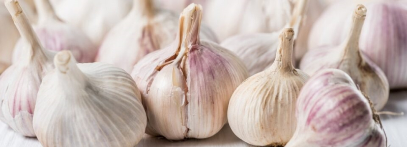 Секрет долголетия на кухне: ученые назвали продукт, замедляющий старение