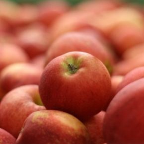 Стало известно, когда цены на яблоки взлетят