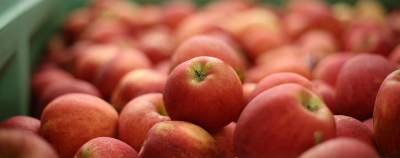 Стало известно, когда цены на яблоки взлетят