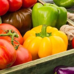 Мировая продовольственная корзина бьет рекорды. Что дальше?