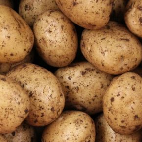 Украина резко увеличила импорт картофеля в 4 раза