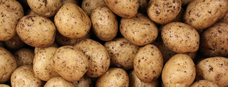 Украина резко увеличила импорт картофеля в 4 раза