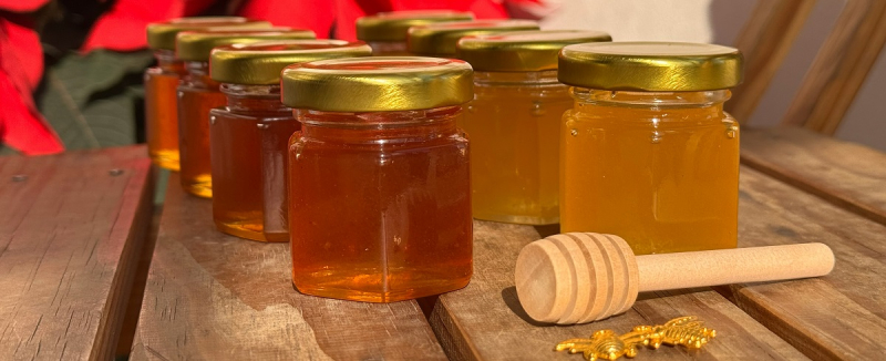 Украина вошла в ТОП-3 мировых экспортеров меда по объемам
