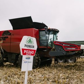 Украинские аграрии получают максимальные урожаи при поддержке Corteva