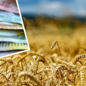 В Украине цена на пшеницу держится, несмотря на падение на мировом рынке