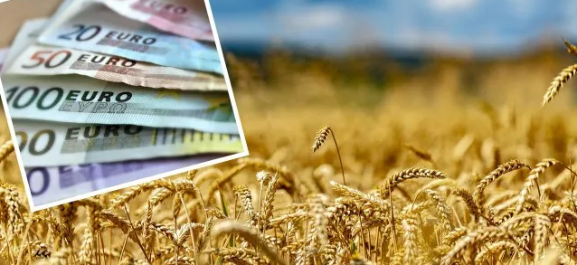 В Украине цена на пшеницу держится, несмотря на падение на мировом рынке