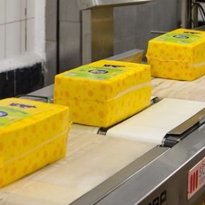 В Украине может исчезнуть отечественный сыр