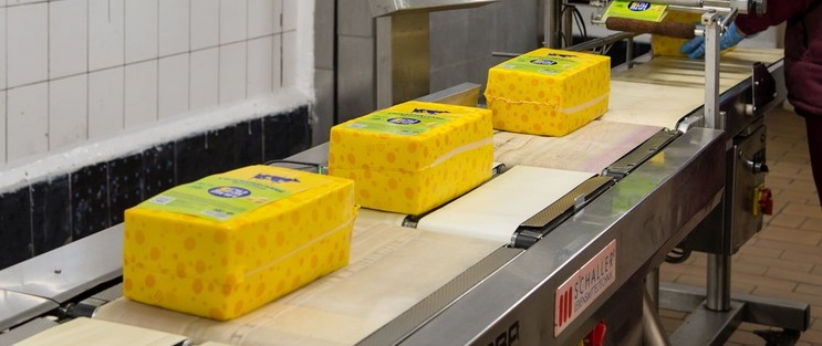 В Украине может исчезнуть отечественный сыр