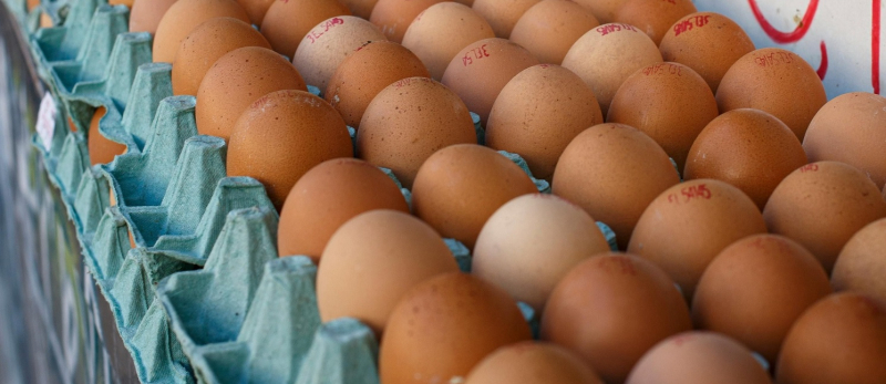 В Украине резко выросли цены на яйца: сколько сейчас стоит десяток