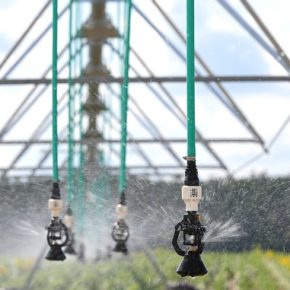 За год в Украине создано почти два десятка организаций по контролю водопотребления