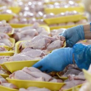 Молдавия ограничила импорт украинского мяса птицы: бизнес требует ответа