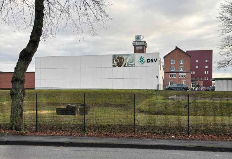 Стабильные результаты DSV