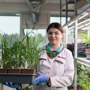 Чего не хватало растениям в 2025 году?