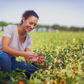 Corteva открывает новые возможности украинских фермерок, предоставляя им доступ к современным агрономическим знаниям.
