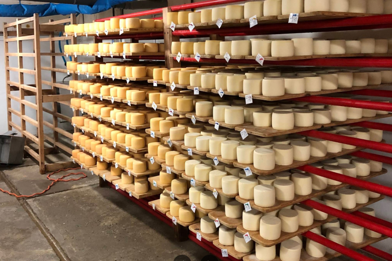 Как закарпатское село научилось делать 

<p><em>Фото: seliskasirovarnia.com.ua </em></p>
<h2 class=