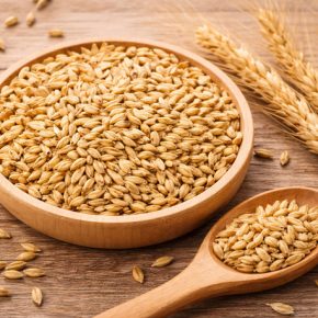 Иордания закупила 50 000 тонн ячменя за $261 – и уже готовит новый тендер на 120 000 тонн