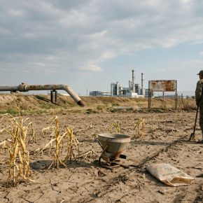 Нет газа – нет удобрений – нет пищи»: почему мир идет к продовольственному кризису