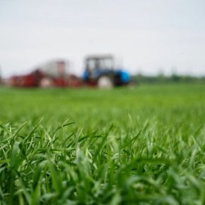 Прима Форте – первый среди лучших!