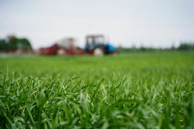 Прима™ Форте — первый среди лучших!