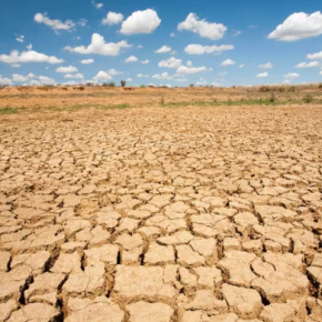 Мировой климат в критическом состоянии, а планета на грани возможностей - ученые