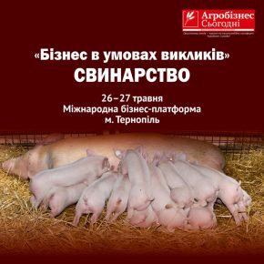 В мае состоится Международная бизнес-платформа "Бизнес в условиях вызовов". Свиноводство