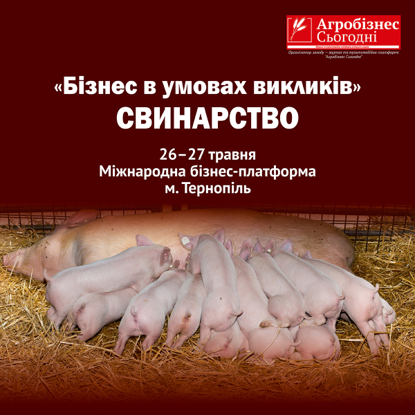 В мае вызовов&raquo;. Свиноводство