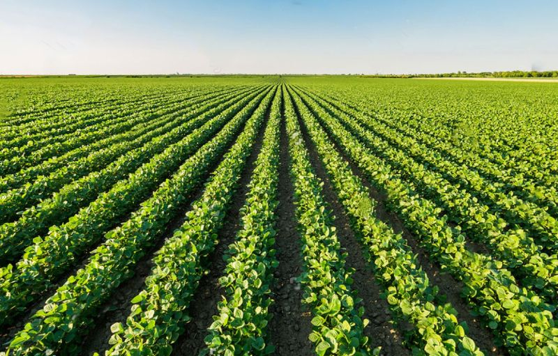 Как улучшить качество опрыскиваний?