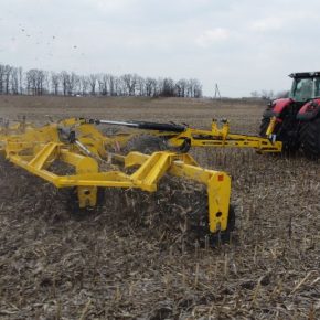 Как разные подходы к стерне повлияли на развитие кукурузы и результаты: исследование