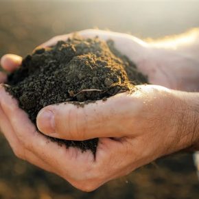 Медиаплатформа «Агробизнес Сегодня» и ОО «Агробизнес Технологии» реализуют проект по восстановлению почв при поддержке Королевства Нидерландов