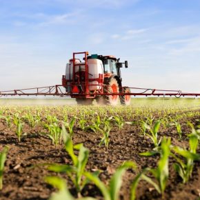 Новинка для повышения действия гербицидного контроля