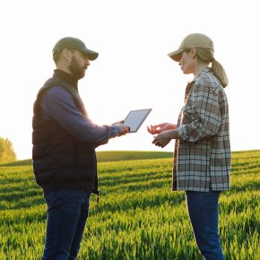 Более 70% фермеров считают влияние крупных агрохолдингов отрицательным.