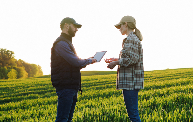 Под 7 /></p>
<p><strong><em>Более 70% опрошенных малых фермеров и фермерок оценивают влияние агрохолдингов как преимущественно негативное.</em></strong></p>
<p>Такое заключение содержит исследование ОО «Экодия» о концентрации сельскохозяйственных земель в общинах.</p>
<p>Анализ охватил общины Винницкой области, а также отдельные общины Киевской и Сумской областей. В частности, в Ладыжинском обществе «Мироновский хлебопродукт» обрабатывает 46,3% земель, в Гайсинской общине «Укрпроминвест-Агро» – 42%, а в Ковалевской общине Киевской области группа «Рассвет» – 73,6% сельскохозяйственных земель.</p><!-- adman_adcode (middle, 1) --><script async src=