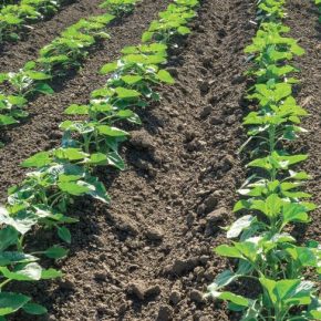 Предупредить потери на старте