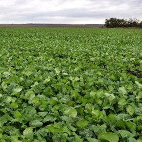 Регулярный мониторинг и надежная защита