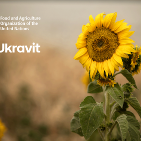 Ukravit и ФАО поддерживают фермеров, пострадавших от войны Ukravit и ФАО поддерживают фермеров, пострадавших от войны