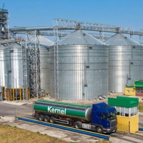 Заработок на сое: почему переработчики платят больше чем экспорт в 2026 году