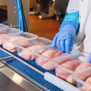 Убытки птицеводов: почему цена курятины упала почти на 19%