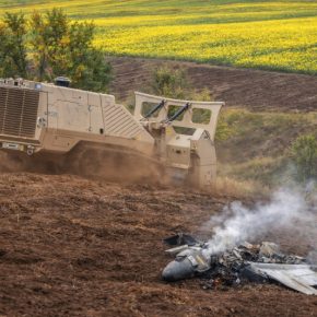 Ущерб от дронов сменили посевы на юге: почему херсонские аграрии переходят на подсолнечник и овощи