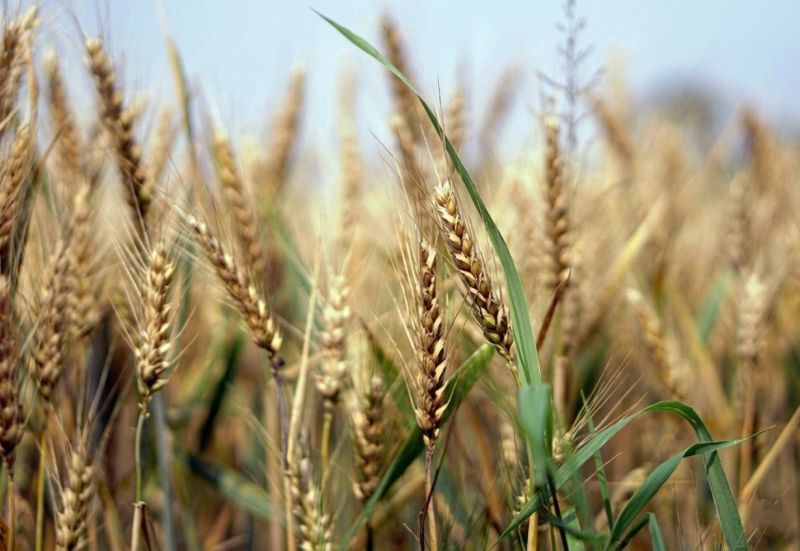 Ущерб 9 месяцев