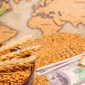 Цены на пшеницу бьют годовой максимум после отчета USDA: фермер считает что делать