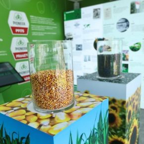 Corteva Agriscience отметила 100-летие бренда Pioneer® Corteva Agriscience отметила 100-летие бренда Pioneer®