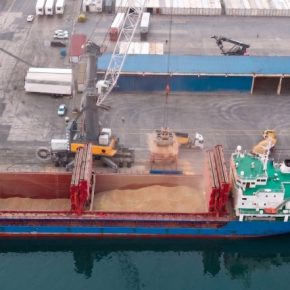 НИБУЛОН возобновил экспорт кукурузы в Алжир после трехлетней паузы НИБУЛОН возобновил экспорт кукурузы в Алжир после трехлетней паузы