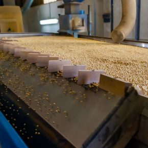 Заработок на сое вырос на 35% после переработки – и грант 5 млн окупился за год