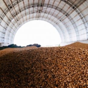 Зерно не продали — и теперь оно давит на цену: рекордные запасы перед жатвой Зерно не продали — и теперь оно давит на цену: рекордные запасы перед жатвой