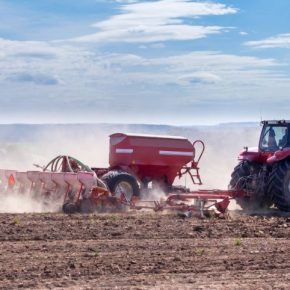 Экономия $25 000 за посевную и 7 т/га кукурузы при засухе: опыт No-Till