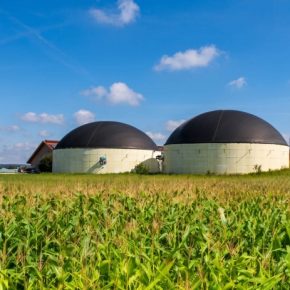 Поступление от биометана: Украина планирует 1 млрд куб. м на рынок ЕС к 2030 году Поступление от биометана: Украина планирует 1 млрд куб. м на рынок ЕС к 2030 году