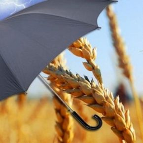 СК ПЗУ Украина и ООО Тимак Агро Украина запустили программу параметрического страхования засухи СК ПЗУ Украина и ООО Тимак Агро Украина запустили программу параметрического страхования засухи