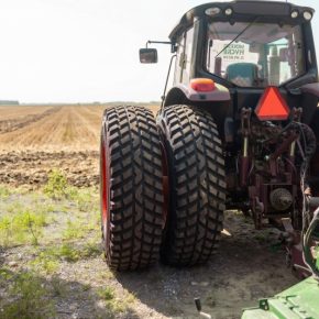 Трудовые мигранты для фермы: до 150 тыс. грн и более дешевая альтернатива Трудовые мигранты для фермы: до 150 тыс. грн и более дешевая альтернатива